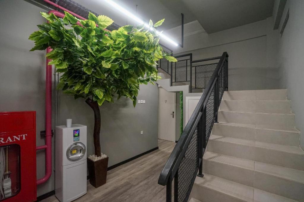 Oyo 568 Rajawali Homestay Palembang Ngoại thất bức ảnh